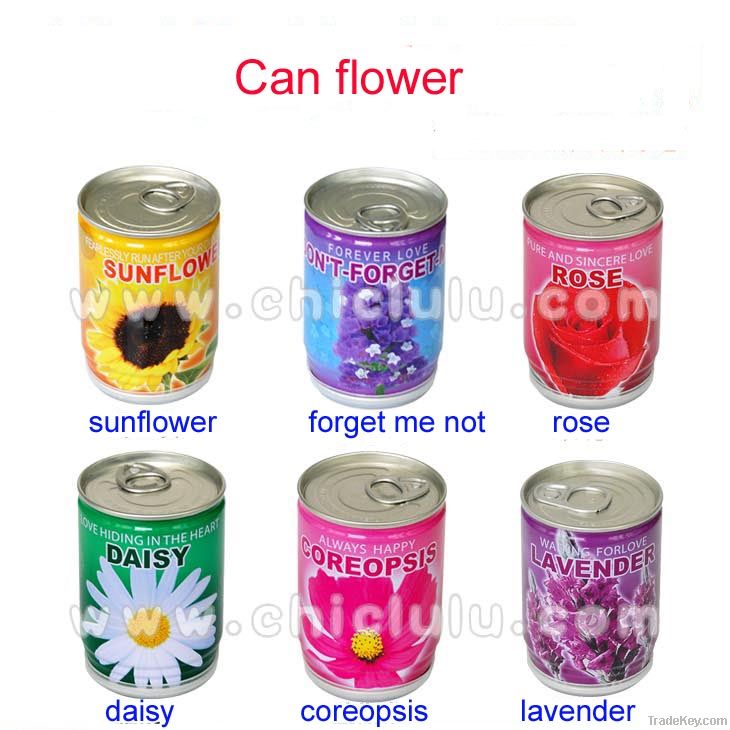 mini can flower