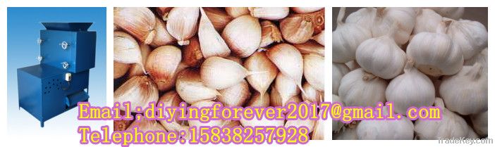 automatic garlic peeling and splitter machine