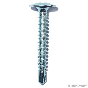 Self Drilling screw