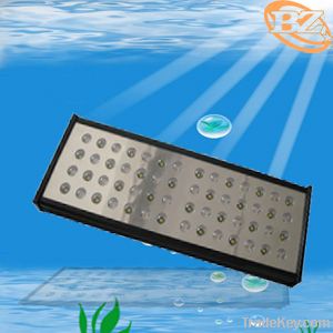 60W Led aquarium light