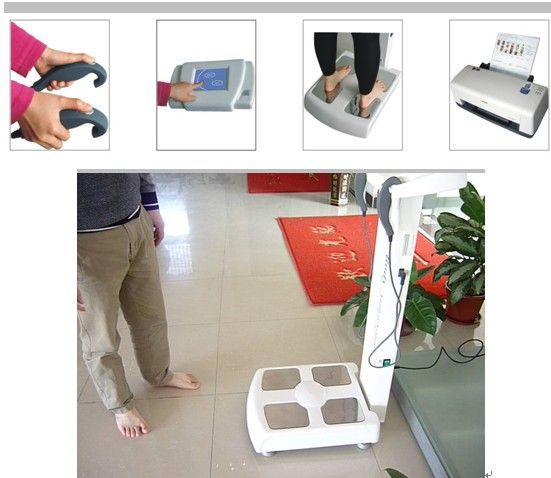 GS6.5 Human Body Coposition Analyzer