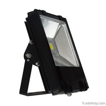 LED Flood Light