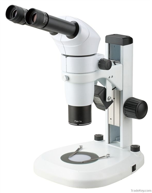 Stereo Microscope