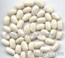 White kidneybeans P.E