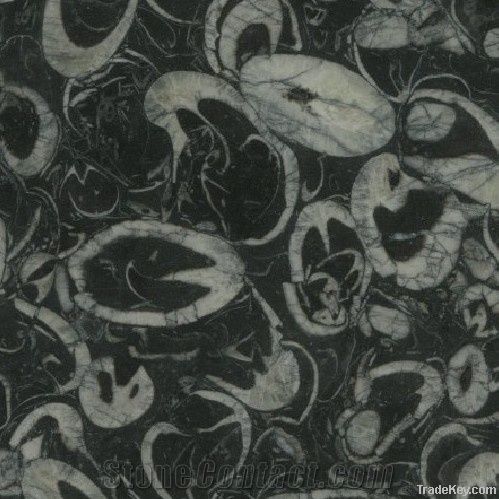 Jurassic Ocean Black Marble