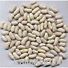 White kidney beans