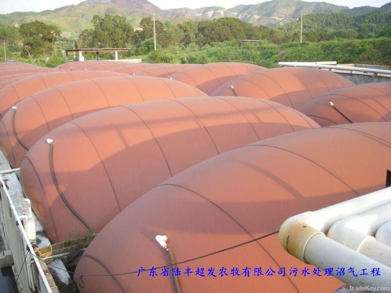 biogas product