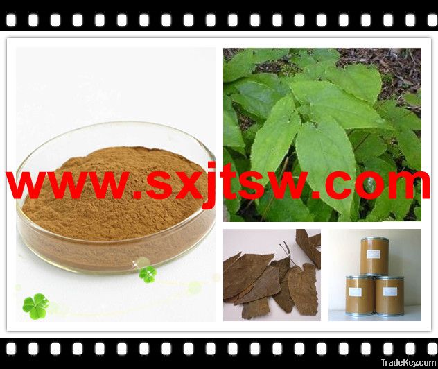 epimedium extract Epimedium Extract / Epimedium P.E. /epimedium herb e