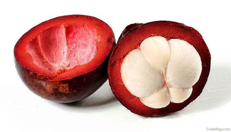 Mangosteen extract powder (Mangostin 10%-90%)