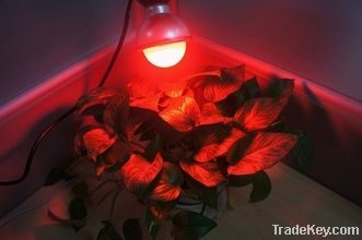 LED grow light