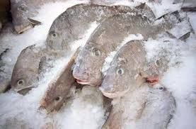 Frozen Fish ( Tuna, mackerel and others ).