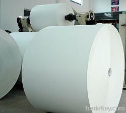 pe coated paper