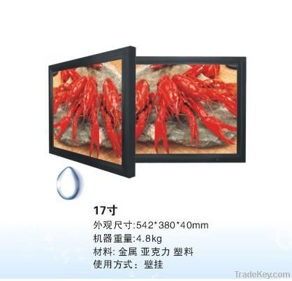 17 inch lcd advertising player