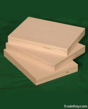 POPLAR PLYWOOD