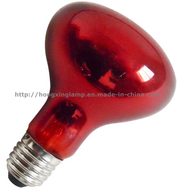 Nightlight Infrared Lamp For Reptile   (R80)