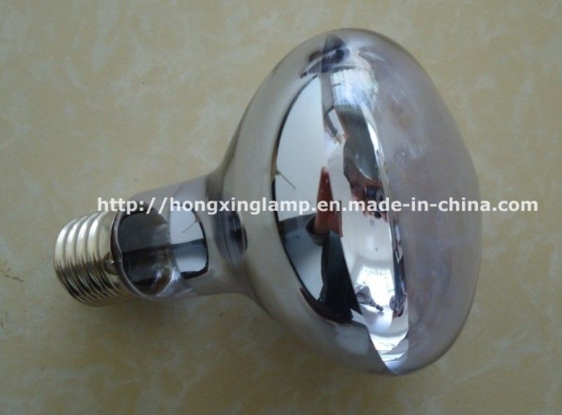 Neodymium Lamp For Reptile    (R80)