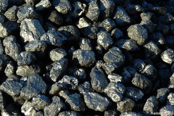 low price steam coal,best buy steam coal,buy steam coal,import steam coal,steam coal importers,wholesale steam coal,steam coal price,want steam coal,