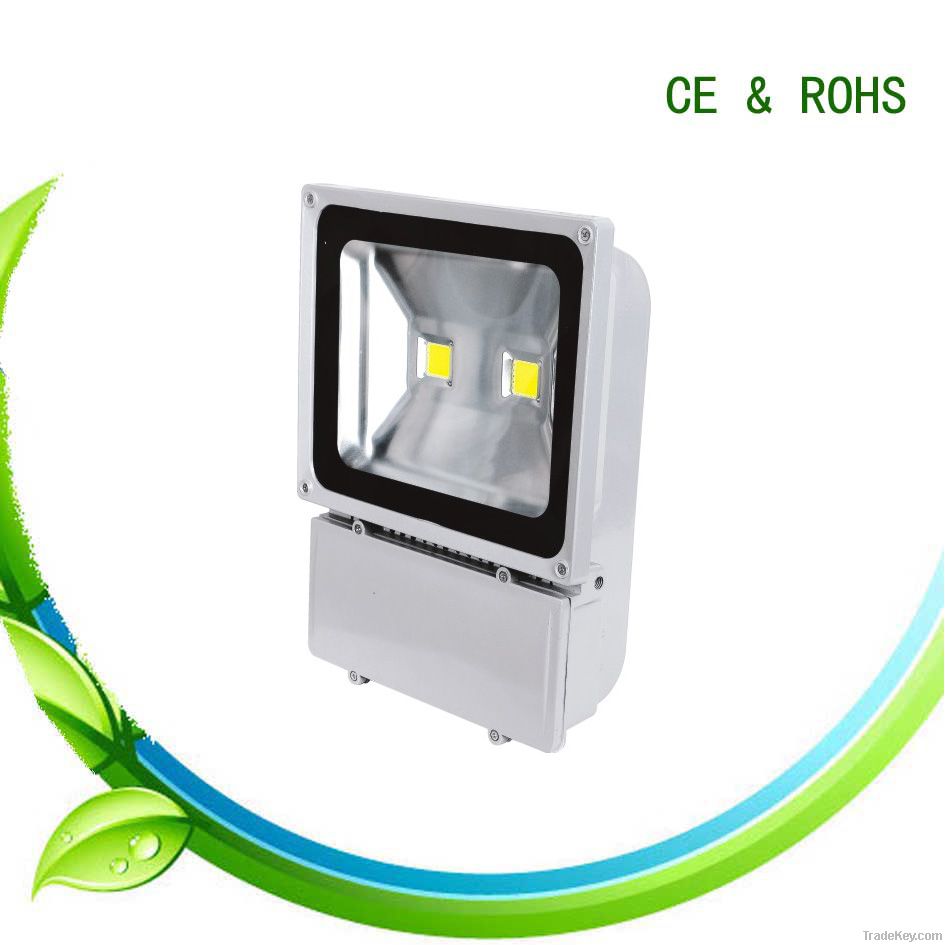 2*50W High Brightness LED Floodlight