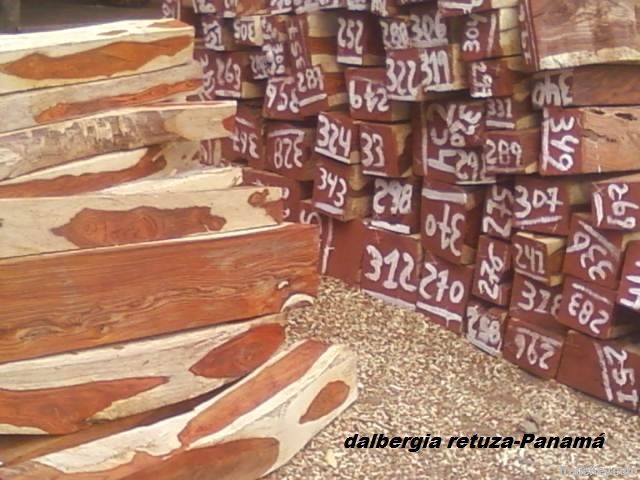 Red & Yellow Cocobolo Blocks from Panama