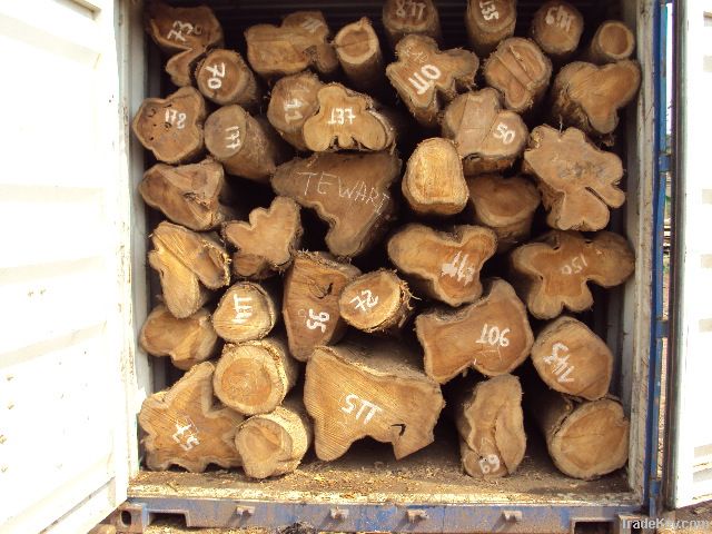 TEAK LOGS OFFER FROM ECUADOR  (Tectona grandis)