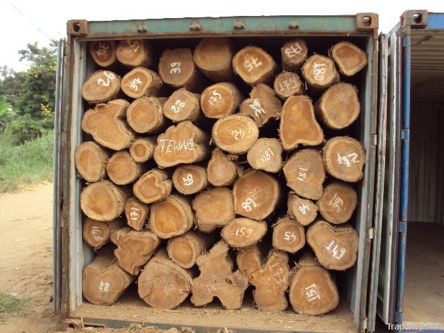 TEAK LOGS OFFER FROM ECUADOR  (Tectona grandis)