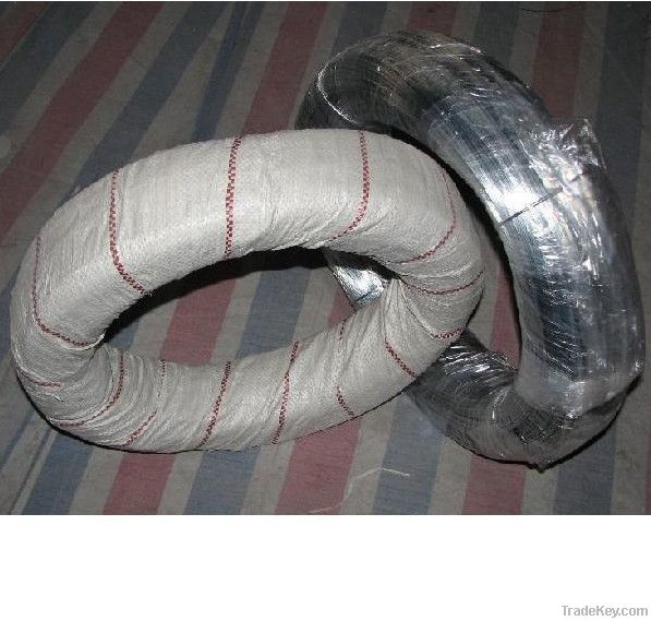 electro galvanized  wire