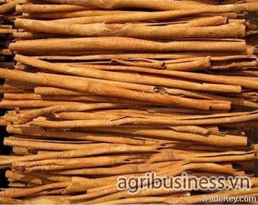 Stick cassia