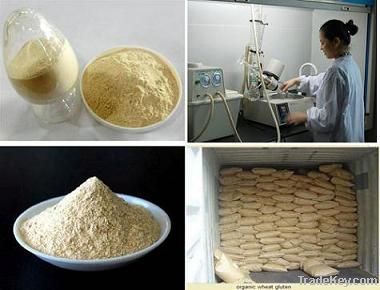 China Vital Wheat Gluten