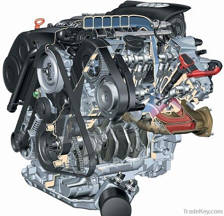 auto timing belt, fan belt, , pk belt