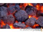 ANTHRACITE COAL