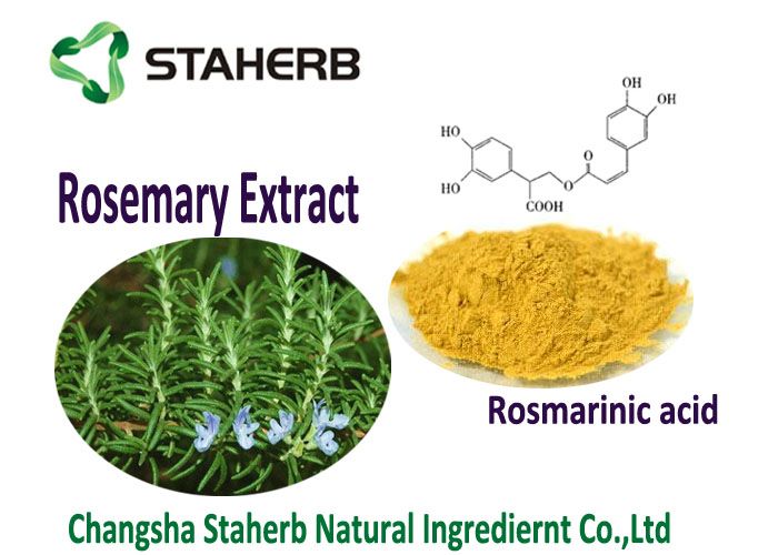 Rosmarinic acid 5-98% Rosemary leaf extract