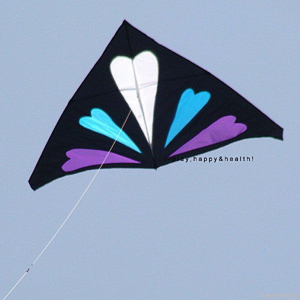 IP2H kite suits/Triangel kite+kite reel+kite line 200*110cm