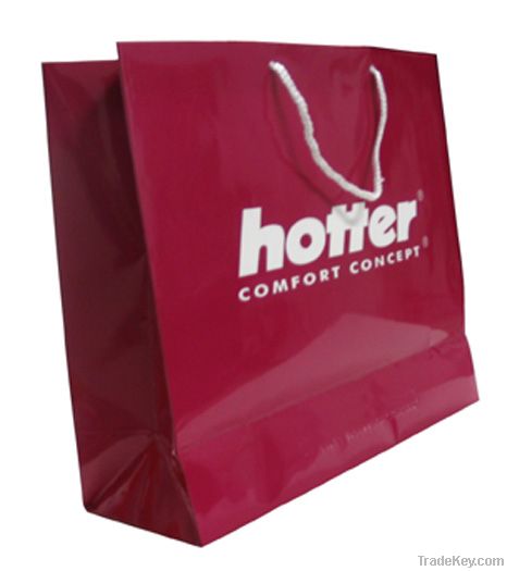 Paper Shopping Bag