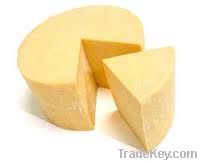 Cheddar-cheese