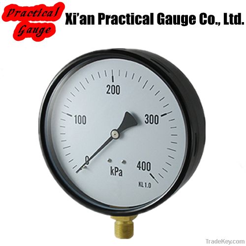 Capsule Pressure Gauge