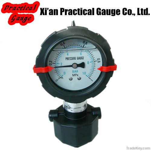 Diaphragm Pressure Gauge