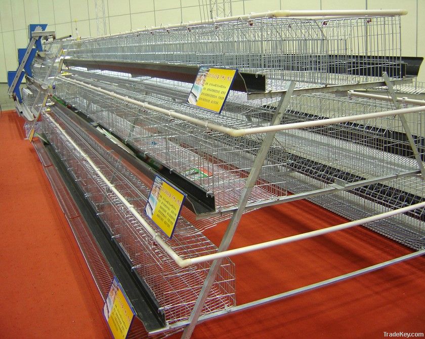 chicken layer cage
