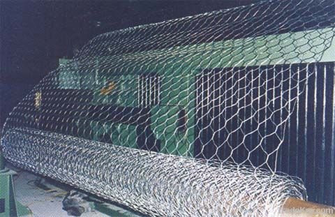 Hexagonal Wire Mesh on sale