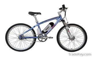 Electric assisted bicycle