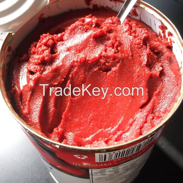 Canned Tomato Paste