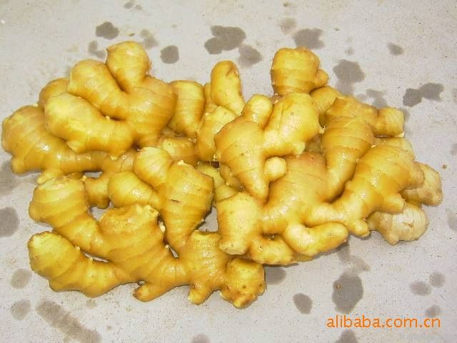 all kinds of fresh ginger