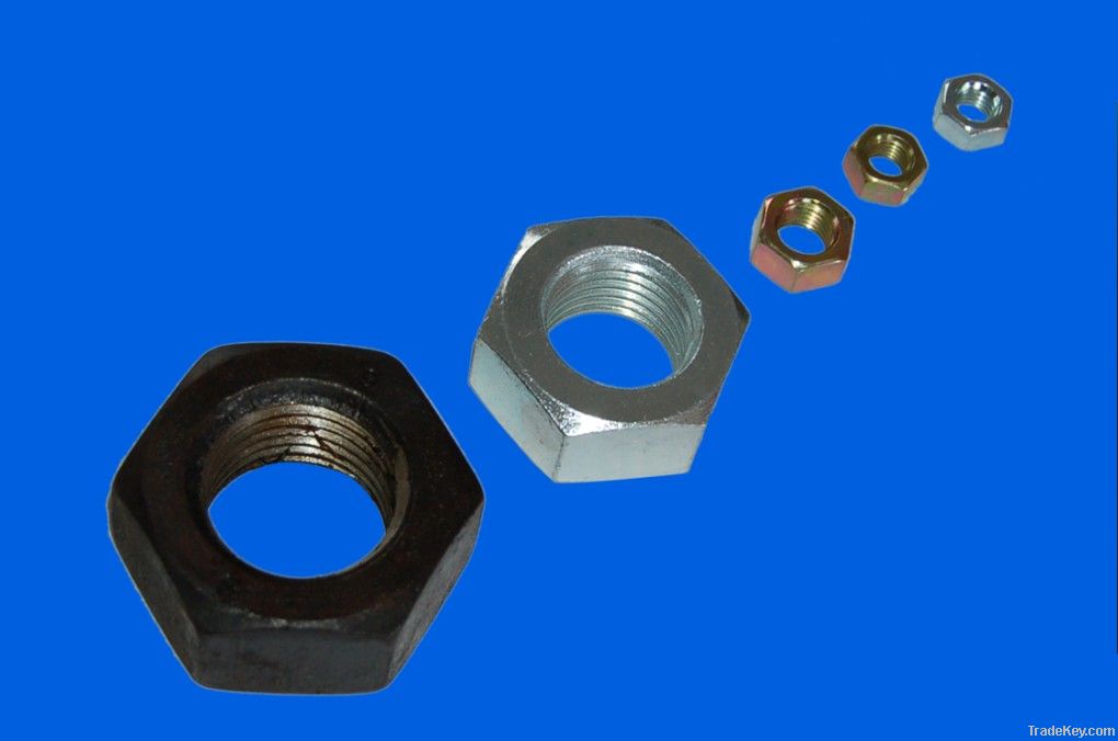 Hex Nuts