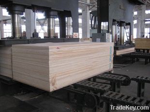 HIGH-QUALITY PLYWOOD