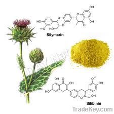 Milk Thistle Extract