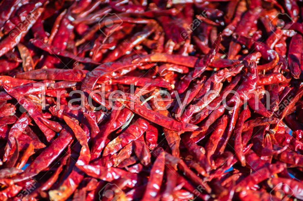 2020 New Crop Food Grade Dried Red Chili 