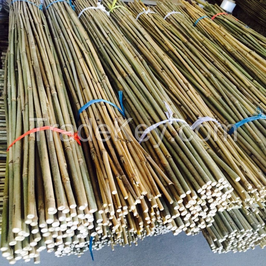 Tonkin Natural Bamboo Cane Bamboo Poles Stakes Sticks for Flower Support