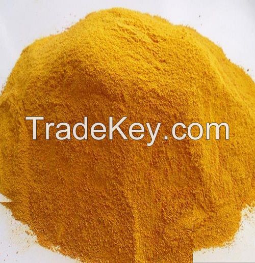 Corn gluten meal/ Yellow Corn Maize Grains for Animal Feed wholesale price