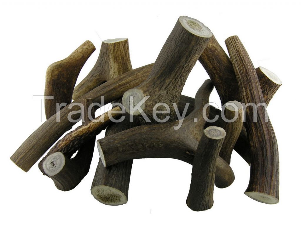 Red Deer Antler Dog Chews