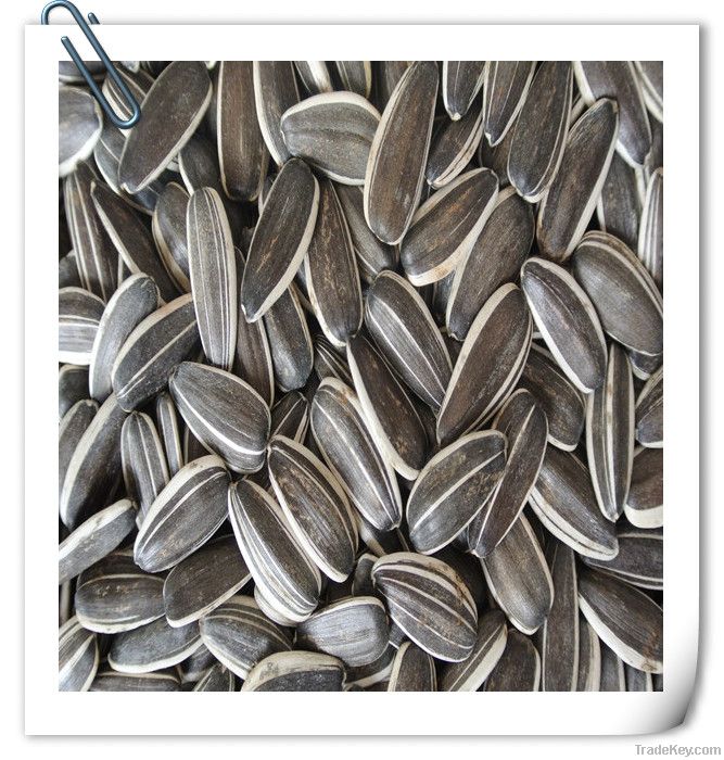 SUNFLOWER SEEDS