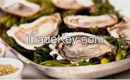 Enjoy Live Oysters